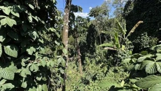 Imóvel 2858317 [''] - ['Rua Tupã, Lt 04 da Qd 07, Arujázinho I, II e III, Arujá, SP'] ['Jardim Josely'] - ['Arujá']/['SP'] - 1