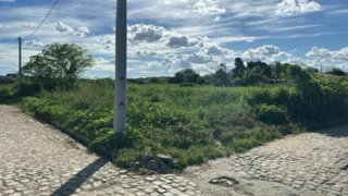 Imóvel 2905217 [''] - ['Estrada Carroçável Ipaumirim/Sítio São Vicente, Vila São José - Ipaumirim/CE'] [''] - ['Ipaumirim']/['CE'] - 1