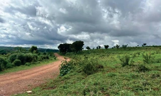 Imóvel 2578817 [''] - ['Fazenda Sesmaria do Pinhal , Posto do Castelo, São Carlos/SP'] [''] - ['São Carlos']/['SP'] - 1