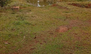 Imóvel 2948517 [''] - ['Terreno Rural localizado na localidade de Faxinal dos Rodrigues (ou Cachoeira), Município de Turvo'] [''] - ['Turvo']/['PR'] - 1