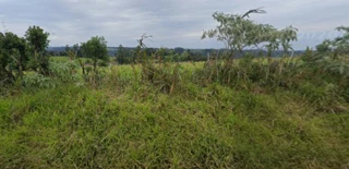 Imóvel 3065618 [''] - ['Ac. Florenal Ribeiro'] [''] - ['Chapecó']/['SC'] - 1