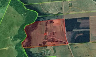 Imóvel 2656418 [''] - ['Fazenda Palmeiras, Oscar Bressane - SP'] [''] - ['Oscar Bressane']/['SP'] - 1