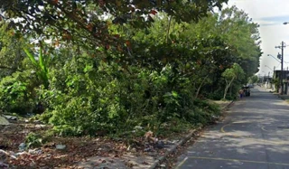 Imóvel 2453918 [''] - ['junto às margens da rodovia Padre Manoel da Nóbrega próximo ao bairro Humaitá, na área continental de São Vicente'] ['Parque das Bandeiras'] - ['São Vicente']/['SP'] - 1