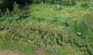 Imóvel 3043018 [''] - ['Lote no 87-A, Gleba no 03, Colônia Mourão, CEP 87260-000, Araruna/PR'] [''] - ['Araruna']/['PR'] - 1