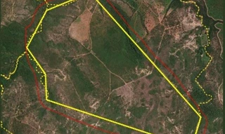 Imóvel 2670218 [''] - ['Fazenda buriti , Canabrava, João Pinheiro, MG'] [''] - ['João Pinheiro']/['MG'] - 1