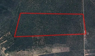 Imóvel 2905218 [''] - ['Denominada Fazenda Sussuarana - Estrada Vicinal, s/nº, Área de terras c/ 76,4873 hectares - Mirangaba/BA'] [''] - ['Mirangaba']/['BA'] - 1