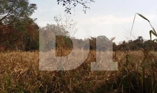 Imóvel 2660018 [''] - ['Santa Tereza do Sobrado, s/n, Bairro Rural Santa Tereza'] [''] - ['Pirassununga']/['SP'] - 1