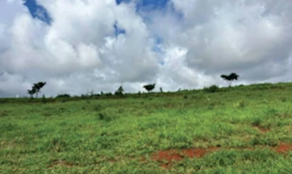 Imóvel 2578818 [''] - ['Fazenda Sesmaria do Pinhal , Posto Castelo, São Carlos/SP'] [''] - ['São Carlos']/['SP'] - 1