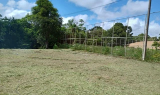 Imóvel 2892218 [''] - ['MALHADA COLONIA MURICI'] ['Area Rural'] - ['São José Dos Pinhais']/['PR'] - 1