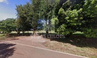 Imóvel 2509019 [''] - ['FAZENDA SANTA RITA, distrito e município de Dolcinópolis'] [''] - ['Dolcinópolis']/['SP'] - 1