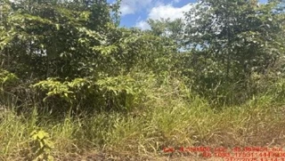 Imóvel 2651719 [''] - ['Paulo Ramos, MA'] [''] - ['Paulo Ramos']/['MA'] - 1