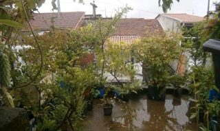 Foto de Casa em Leilão em São Paulo / SP - 2953119