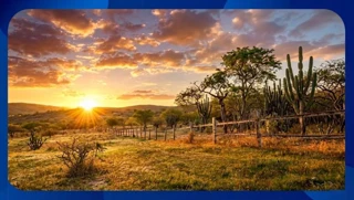 Imóvel 2723119 [''] - [', SN'] [''] - ['Areia de Baraúnas']/['PB'] - 1