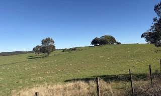Imóvel 2797419 [''] - ['Rondinha, à margem direita da estrada geral que desta cidade vai à Dom Feliciano'] [''] - ['Encruzilhada Do Sul']/['RS'] - 1