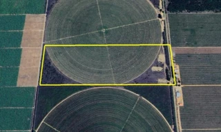 Imóvel 2600819 [''] - ['Projeto Jaíba, Lote 168-P - Matias Cardoso - MG'] [''] - ['Matias Cardoso']/['MG'] - 1