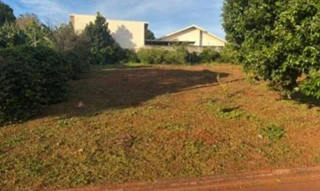 Imóvel 2915219 [''] - ['Avenida Werno Bruno Ritter, s/n, Loteamento Jardim Dallas, Lote 07, Quadra 345'] [''] - ['Palotina']/['PR'] - 1