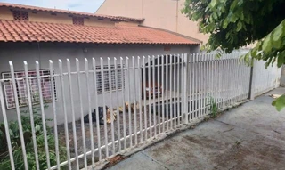 Imóvel 2919519 [''] - ['Nº. Produto: 1 Lote de terras sob no 11 (onze), da quadra no 36 (trinta e seis), medindo a area de 256,69 m2, situada no JARDIM ALTO DA BOA VISTA, nesta cidade, da subdivisao do lote no 46, da Gleba Jacutinga, neste Municipio e Comarca, dentro das seguintes divisas e confrontacoes: Frente ara a rua 18 (dezoito), com 10,00 metros; lado direito, com o lote no 12 (doze), com 25,00 metros; lado esquerdo, com o lote no 10 (dez), com 25,00 metros; e, finalmente aos fundos com o