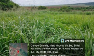 Imóvel 2958819 [''] - ['Rua Isolina Correa Campos, 3484, Quadra 105, Lote 14, Maria de Lourdes Marson Expansão III, Nova, , Nova Alvorada do Sul/MS'] [''] - ['Nova Alvorada Do Sul']/['MS'] - 1