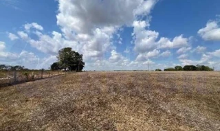 Imóvel 2970919 [''] - ['VIA PASSARO PRETO, Lote 54 e 56 da Gleba 01, AREAS DE CHACARA, ARIQUEMES - RO, CEP 76.876-145'] [''] - ['Ariquemes']/['RO'] - 1