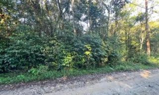 Imóvel 2590119 [''] - ['Parque das Garças, Estrada do Leste, nº 09'] ['Parque das Garças'] - ['Santo André']/['SP'] - 1