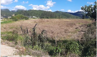 Imóvel 2275519 [''] - ['lugar chamado Rio do Braço, São João Batista'] [''] - ['São João Batista']/['SC'] - 1