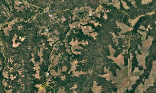 Imóvel 2922720 [''] - ['Fazenda Boa Esperança Iii, S/nº - Parcela 01 - Área Rural - Tasso Fragoso / MA'] [''] - ['Tasso Fragoso']/['MA'] - 1