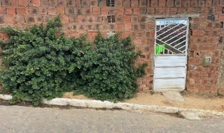 Imóvel 2337220 ['8444405401168'] - ['RUA PROJETADA F,N. S/N LT 19 QD E, CHA DE ALEGRIA - CEP: 55835-000, CHA DE ALEGRIA - PERNAMBUCO'] [''] - ['Chã De Alegria']/['PE'] - 1