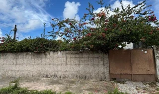 Imóvel 2870920 ['1555527324420'] - ['RUA FLORENTINO OLIMPIO DOS SANTOS,N. 275 QD 20, AFOGADOS - CEP: 50830-470, RECIFE - PERNAMBUCO'] ['Afogados'] - ['Recife']/['PE'] - 1
