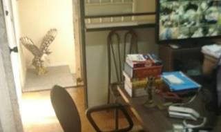 Imóvel 2635620 [''] - ['Rua Doze de Outubro, 80 - São Joaquim - Araçatuba / SP'] ['São Joaquim'] - ['Araçatuba']/['SP'] - 1