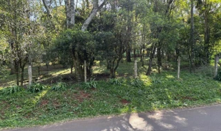 Imóvel 3026220 [''] - ['CHÁCARA n.º 05, do Loteamento "ANDREA KWIECZISKI" na Rua "A"'] ['Atlântico'] - ['Erechim']/['RS'] - 1