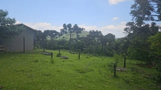 Foto de Complexo Industrial em Leilão em Nova Petrópolis / RS - 2952420