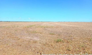 Imóvel 2601020 [''] - ['FAZENDA TERRA VIVA'] [''] - ['Baianópolis']/['BA'] - 1