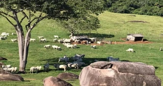 Imóvel 2603120 [''] - ['Estrada Linha IV Zona Rural em Apiacás/MT. Coordenadas: 9º3754.18S e Longitude: 57º2033.22O'] [''] - ['Apiacás']/['MT'] - 1