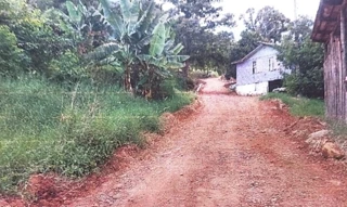 Imóvel 2888120 [''] - ['Linha Pessegueiro, Nova Itaberabam, SC'] [''] - ['Nova Itaberaba']/['SC'] - 1