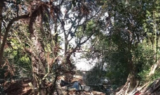 Imóvel 2553220 [''] - ['Rua Carlos Klemtz, 993'] ['Fazendinha'] - ['Curitiba']/['PR'] - 1