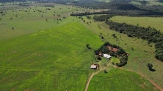 Imóvel 2577320 [''] - ['FAZENDA CASCAVEL AREA F. PROT. N° 54.495'] [''] - ['Costa Rica']/['MS'] - 1