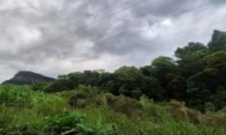 Imóvel 2664620 ['IDR186872'] - ['São João - Colônia Santa Maria, S/N, Lote Rural n° 52, Interior, Canela , RS, 95683-154'] [''] - ['Canela']/['RS'] - 1