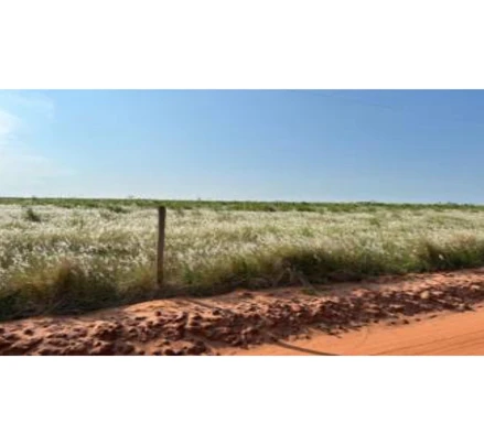Imóvel rural em Loanda, Centro, Avenida Paraná, 643 - Centro, PR. Área: 89540m2
