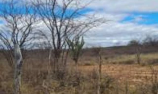 Imóvel 2583220 [''] - ['Fazenda Várzea Cumprida, Zona Rural'] [''] - ['Afrânio']/['PE'] - 1