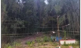 Imóvel 2545520 ['10258764'] - ['RUA ALMIRANTE ALEXANDRINO,N. S/N LT 03, SANTA TERESA - CEP: 20241-260, RIO DE JANEIRO - RIO DE JANEIRO'] ['Santa Teresa'] - ['Rio De Janeiro']/['RJ'] - 1