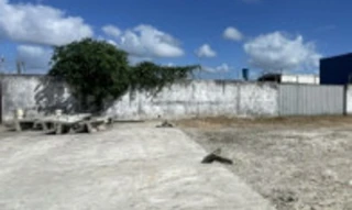 Imóvel 2948621 [''] - ['lote n° 15, no lugar Genipapo, atualmente Distrito de Pé Leve, em zona de expansão urbana periférica'] [''] - ['Limoeiro De Anadia']/['AL'] - 1