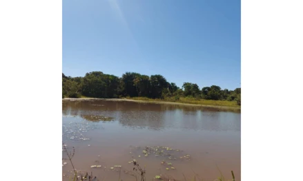 Imóvel rural em Paranã, , BR que liga Paranã a Peixe, GO. Área: 41048471m2 - imagem 0