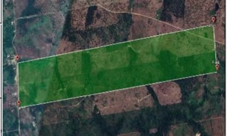 Imóvel 2961621 ['10282351'] - ['POVOADO NOVA ARAGUANÃ,N. 00 FAZENDA OURO BRANCO, ZONA RURAL - CEP: 65368-000, ARAGUANA - MARANHAO'] [''] - ['Araguanã']/['MA'] - 1