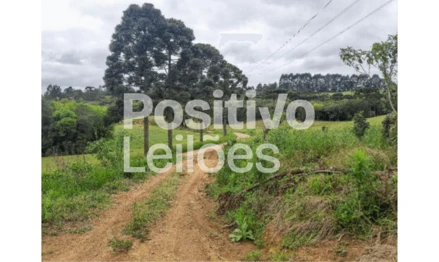Imóvel rural em Mafra, Avencal De Baixo, Avencal de Baixo, distrito de Rio Preto do Sul, SC. Área: 249200m2 - imagem 0