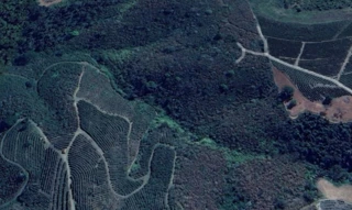 Imóvel 2600721 [''] - ['Curralinho ou Vargem, - Ouro Preto - MG'] [''] - ['Ouro Preto']/['MG'] - 1