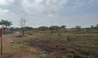 Imóvel 2541121 [''] - [''] [''] - ['Araguacema']/['TO'] - 1