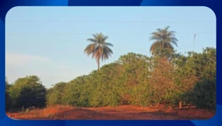 Imóvel 2622321 [''] - [', SN'] [''] - ['Guapé']/['MG'] - 1