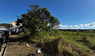 Imóvel 2509621 [''] - ['Rua Santo Antônio, S/N, São Francisco de Assis'] ['São Francisco de Assis'] - ['Camboriú']/['SC'] - 1