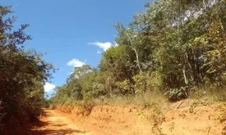 Imóvel 2864921 [''] - ['Fazenda Santa Quitéria - Lote 22 A (LAT -17.897887° LONG -42.690757°), Itamarandiba/MG, CEP 39670-000'] ['Fazendinha'] - ['Itamarandiba']/['MG'] - 1