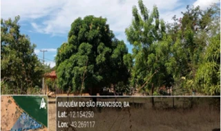 Imóvel 2997122 [''] - ['Estrada Municipal, s/nº - Área rural, denominada Juazeiro Grande da Fazenda Itaim, situada no Distrito de Piragiba - Zona Rural - Muquém de São Francisco / BA'] [''] - ['Muquém De São Francisco']/['BA'] - 1